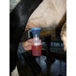 Eco Dipper 150™ ingbruik